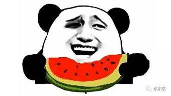 华为苹果吃瓜群众